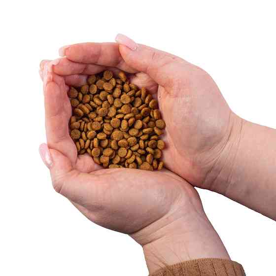 , 2 кг Киев