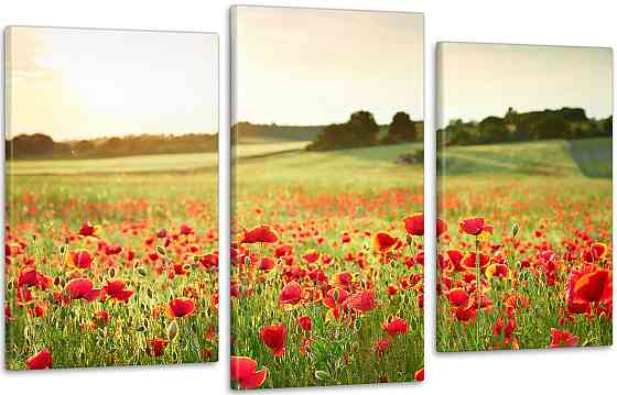 Модульная картина Поле Цветов Art-187_3 100x150 см Киев