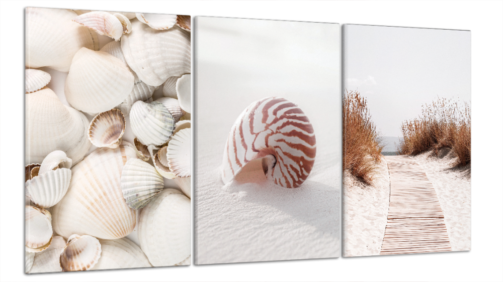 Модульна картина Природа Пляж Art-12_B3 Київ - фото 1