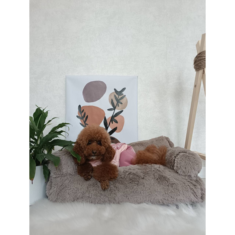 Меховой диван лежак для собак и кошек спальное место для животных съемны Incor капучино 10079 L (100х60х30) Киев - изображение 7