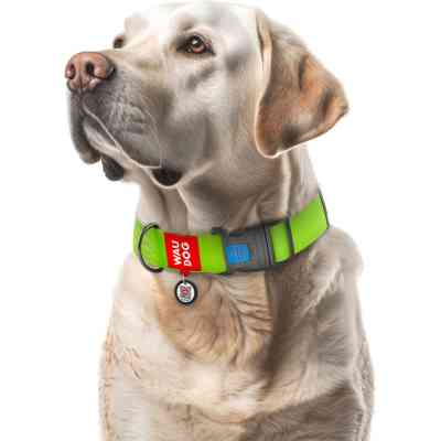 Ошейник для животных WAUDOG Waterproof с QR паспортом пластиковый фастекс XXL салатовый (25115) Винница