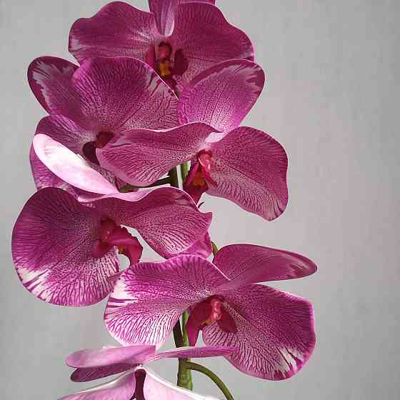 Штучна латексна орхідея VIP у бузковому керамічному кашпо на одну бузкову гілку Дніпро