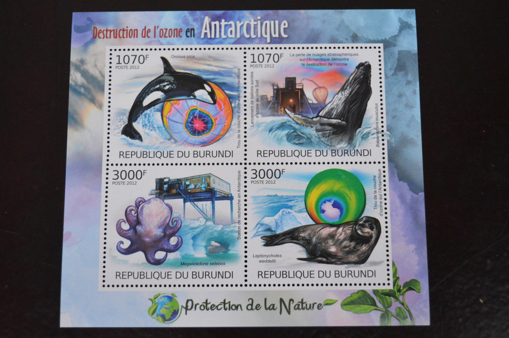 Бурунди. Фауна. 2012год Полтава - изображение 1