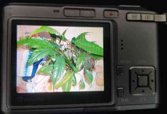 Фотоаппарат Canon Exilim EX-S 500 Silver Metal Slim Japan. Киев