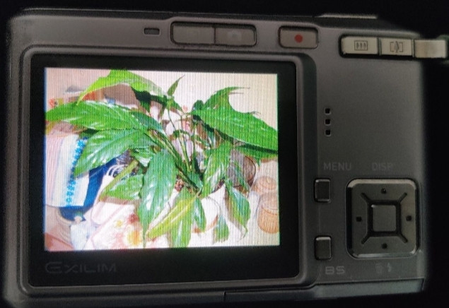 Фотоаппарат Canon Exilim EX-S 500 Silver Metal Slim Japan. Киев - изображение 4