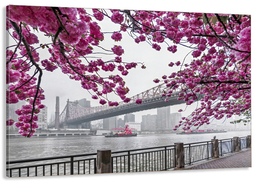 Картина холст у вітальню / спальню  Сакура    MLP_65 ( 60х30см ) 40x80 см Київ - фото 1