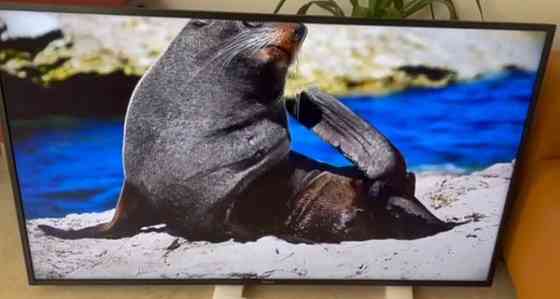 50" Безрамний 8 серія.4К Smart UHD SONY 65X G80 Харків