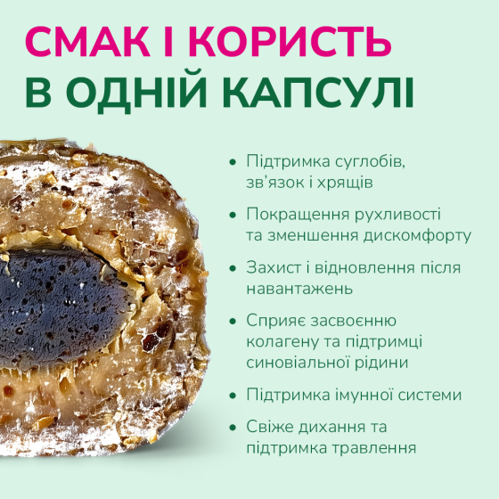 LK Baits Pet Nutrigel Beef S-M Функціональні ласощі для собак для суглобів з яловичиною і спіруліною (Ø 15 мм), 150 г Киев