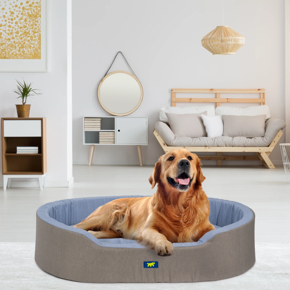 Лежак - кровать для собак и кошек Ferplast Dandy C Colour (Ферпласт Денди С Колор) 95 x 60 x h 23 cm - 95, Голубой Запорожье - изображение 7