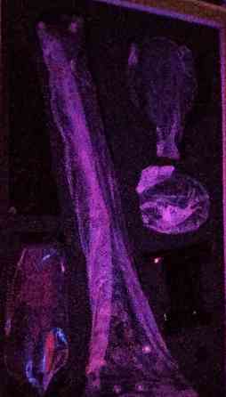 Микрофон, HATOR Signify RGB PRO Киев