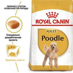 Royal Canin Poodle Adult (Роя Канін Пудель Едалт) сухий корм для дорослих собак пудель від 10 місяців 1.5 кг. Запоріжжя - фото 2