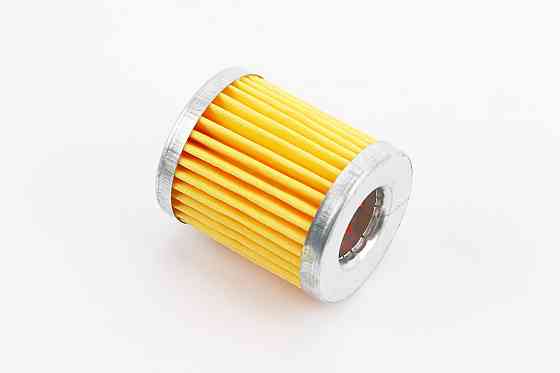 Фільтр паливний - елемент 40mm R170F/R195NM Киев