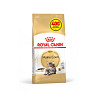 Корм для дорослих котів ROYAL CANIN MAINECOON ADULT 1.6 кг + 400г в подарунок