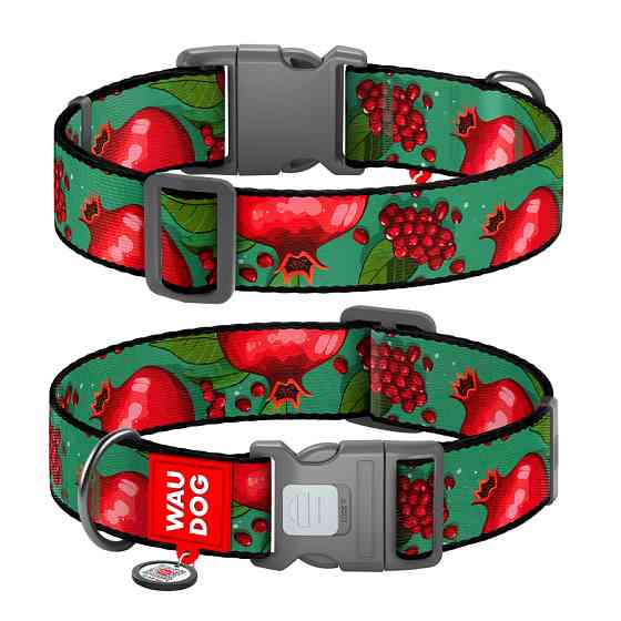 Нашийник для собак нейлоновий WAUDOG Nylon з QR паспортом, малюнок "Гранати", пластиковий фасте Коломия