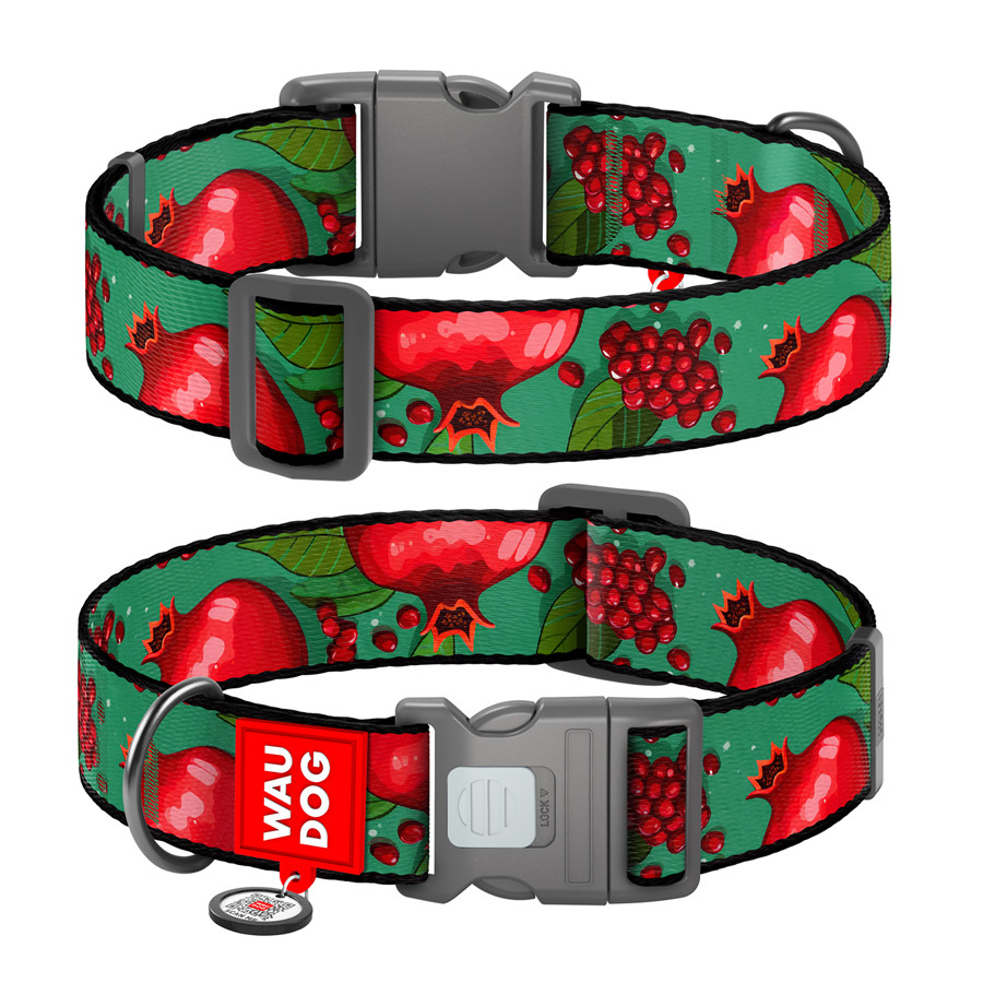 Нашийник для собак нейлоновий WAUDOG Nylon з QR паспортом, малюнок "Гранати", пластиковий фасте Коломия - фото 1