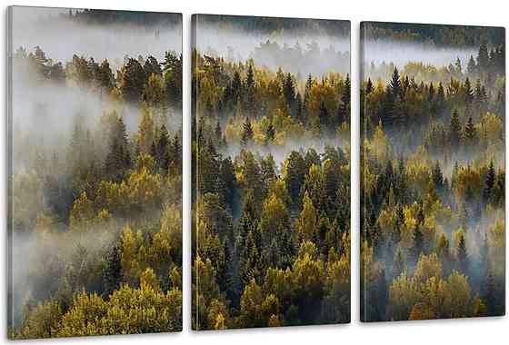 Модульная картина в гостиную / спальню  Гори    ART-239_3A 100х150 см Киев