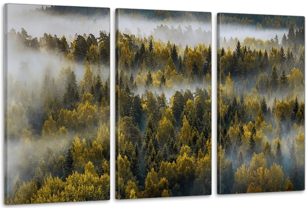 Модульная картина в гостиную / спальню  Гори    ART-239_3A 100х150 см Киев - изображение 1