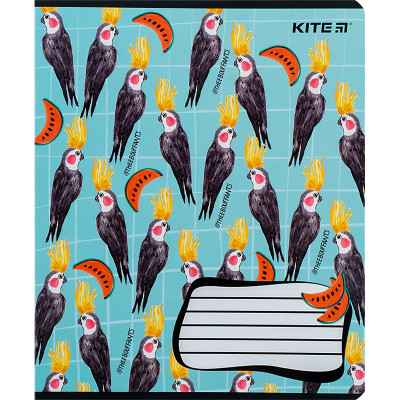 Тетрадь Kite BBH 18 листов, клетка (K24-236-1) Винница - изображение 12