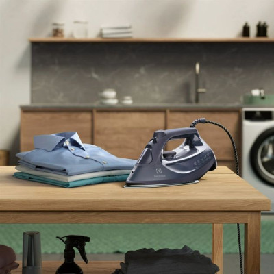 Праска Electrolux E6SI1-4MN Вінниця - фото 3