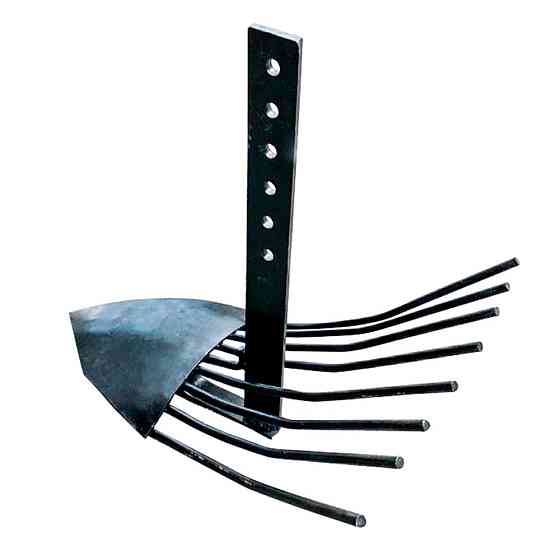 Картоплекопач віяловий Харків