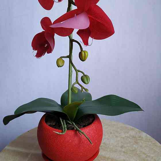 Штучна латексна орхідея VIP у червоному керамічному кашпо на одну гілку червона Дніпро