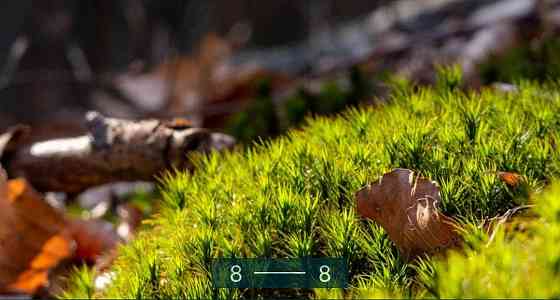 Фотоапарат Panasonic Lumix DC-FZ82D DC-FZ82DE-K Київ