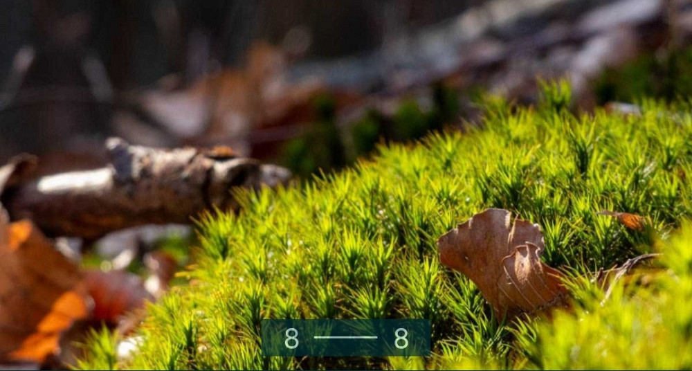 Фотоаппарат Panasonic Lumix DC-FZ82D DC-FZ82DE-K Киев - изображение 1