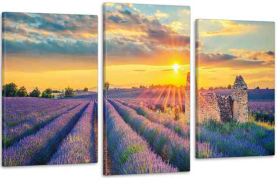 Модульная картина Поле лаванды Art-198_3 70x130 см Киев