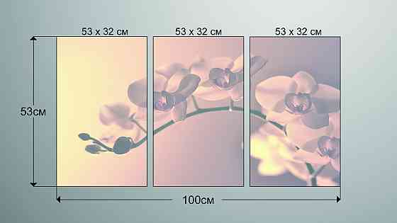 Модульна картина Квіти Орхідея (53х100см) Аrt-216_3А Київ