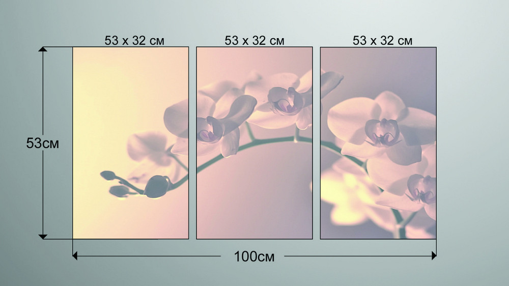 Модульная картина Цветы Орхидея  (53x100см)  Аrt-216_3А Киев - изображение 3