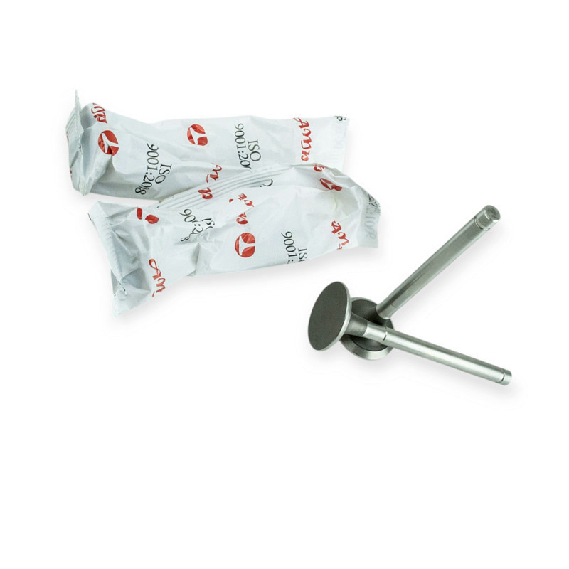 Клапана 21, УАЗ, ГАЗ-53новий зразок випуск AМР 4шт (PWOL002) ГАЗ-2401, Мукачево - фото 1