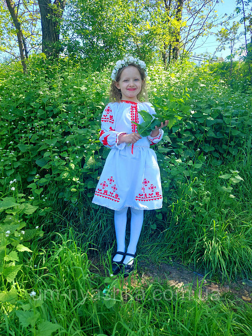 Платье вышиванка белое с ласточками 104-158 Кривой Рог - изображение 10