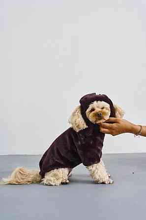 Шапка ушанка для собак меховая зимняя Dogs Bomba теплые ушки 2 Ожина Одесса