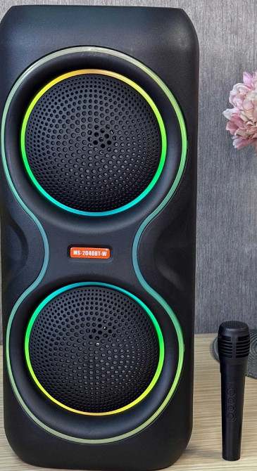 Портативная Bluetooth колонка чемодан MS-2040BT-W 50Вт с микрофоном. Харьков - изображение 4