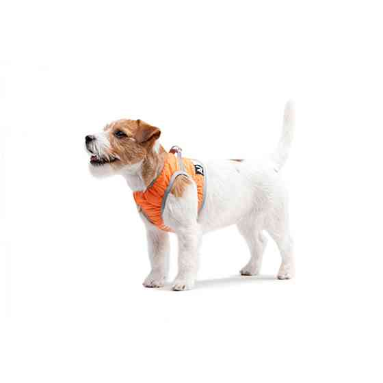 Шлей мягкий AiryVest ONE, размер S2 оранжевый Киев