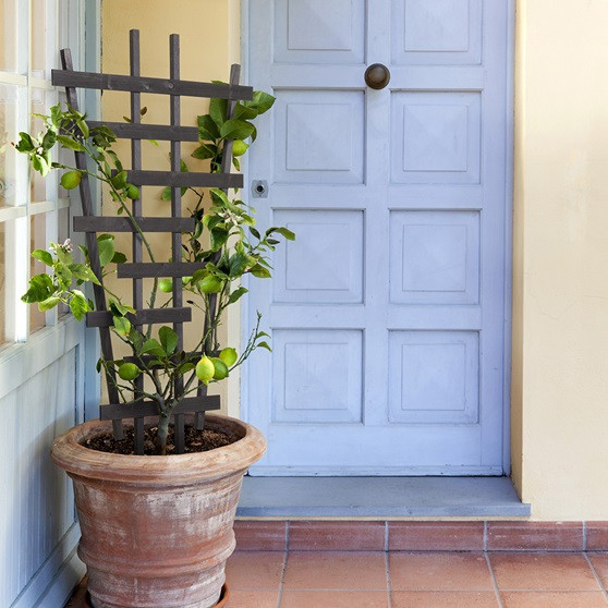 Опора для плетущихся 