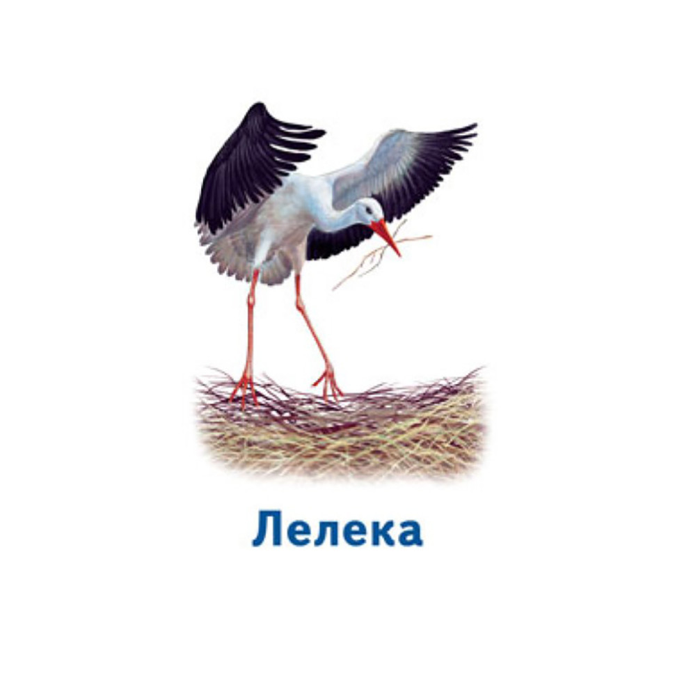 Настольная игра Парочки: Мир животных 1392003, 6 игр Винница - изображение 6