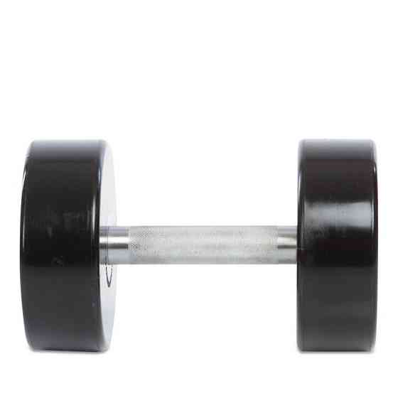 Гантель 16 кг цільна професійна LIFE FITNESS-80081-16 Київ