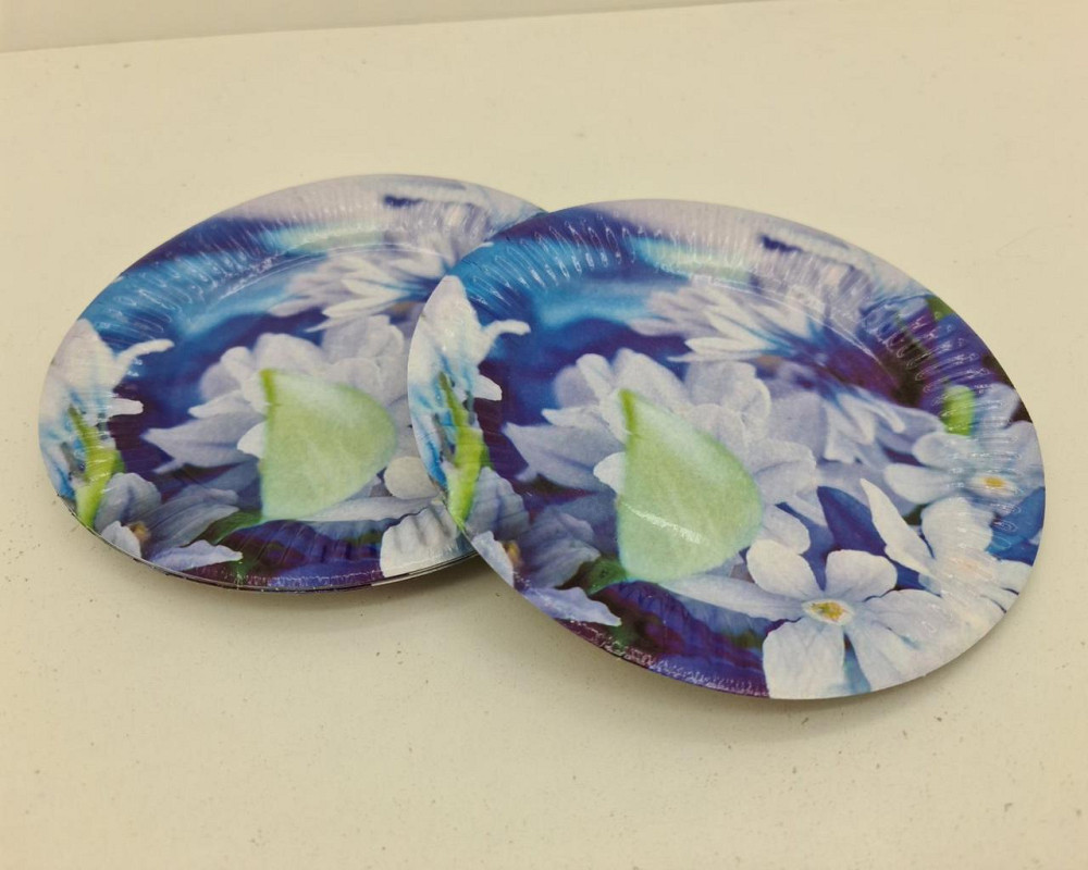 Паперова тарілка з малюнком 18 см "No 25" Весна" 10 шт (1 пачка) Харків - фото 2