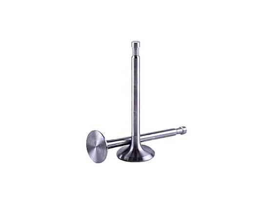 Клапани на дизельний двигун 180N, діаметр 7 мм, пара Мукачево