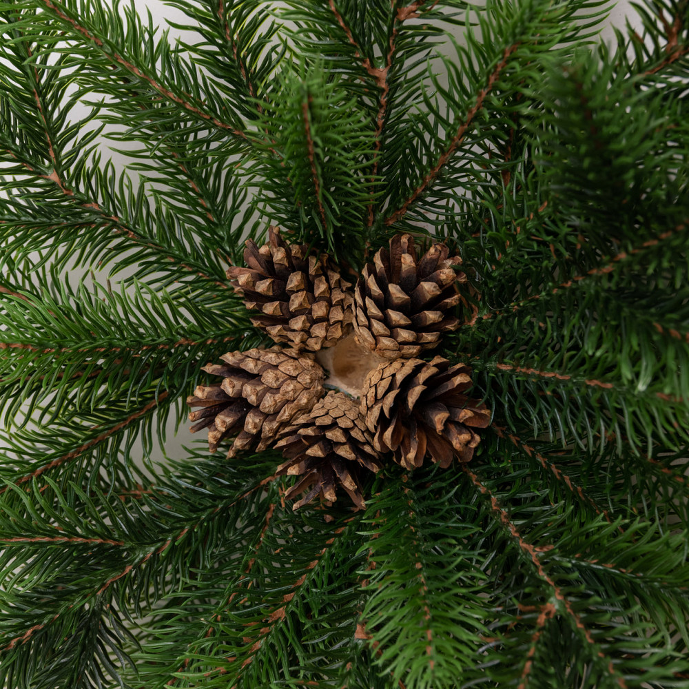 Lugi Штучний підсвічник вінок Новорічний з декором зелений на 1 свічку SOK-O-1 Коломыя - изображение 5