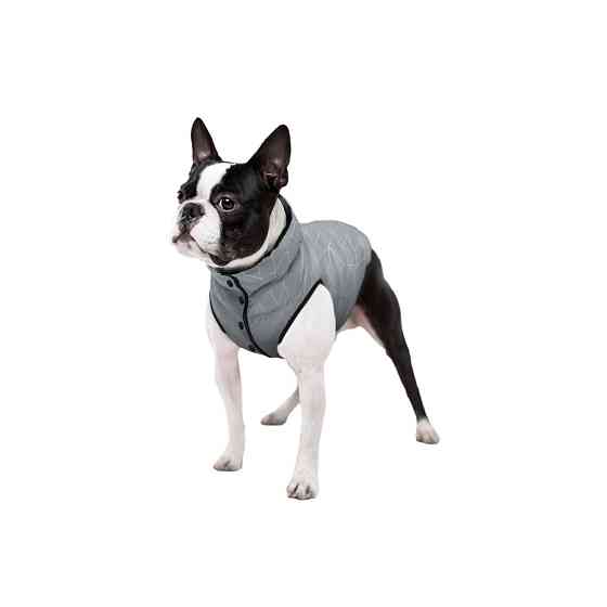 Курточка для собак WAUDOG Clothes світловідбивна, S40, В 52-55 см, С 36-39 см Київ