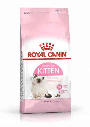 Royal Canin Kitten (Роял Канін Кіттен) сухий корм для кошенят у період другої фази росту Запоріжжя