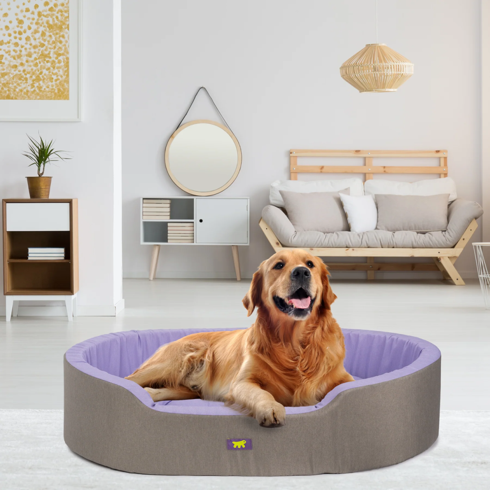 Лежак - кровать для собак и кошек Ferplast Dandy C Colour (Ферпласт Денди С Колор) 95 x 60 x h 23 cm - 95, Лиловый Запорожье - изображение 7