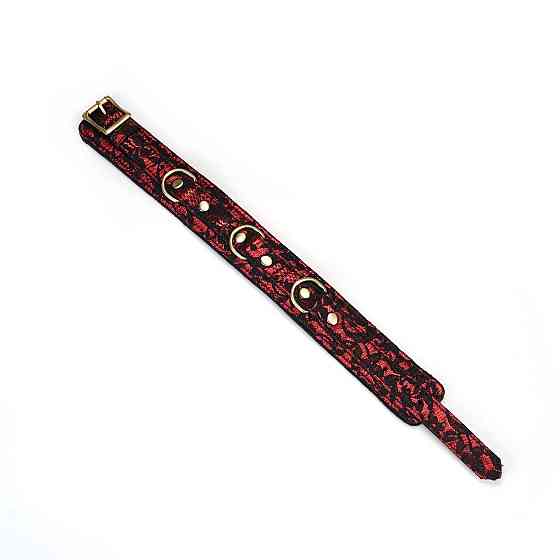 Нашийник з повідцем Liebe Seele Victorian Garden Collar with Leash Sex Aura Київ