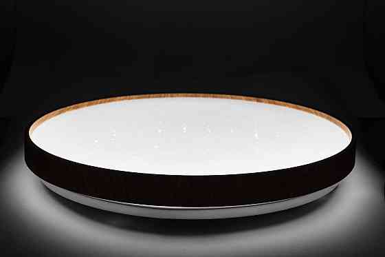 FOREST зоряне небо 60W 395*65мм 3000К-6500К з ДК тік Днепр