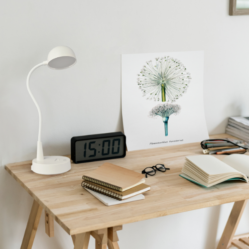 Лампа настільна LED з акумулятором TLTF-012W Titanum Житомир - изображение 7