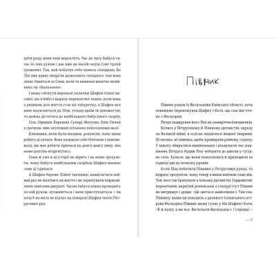 Книга Котик, Півник, Шафка - Олександр Михед Видавництво Старого Лева (9789664480717) Вінниця