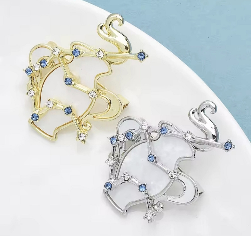 Брошка знак зодіаку "Водолій"  Сріблястий Сміла - фото 2