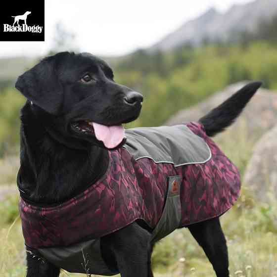 Куртка для собак BlackDoggy (Блекдоги) VC14-JK23 XL, Бордовий Запоріжжя